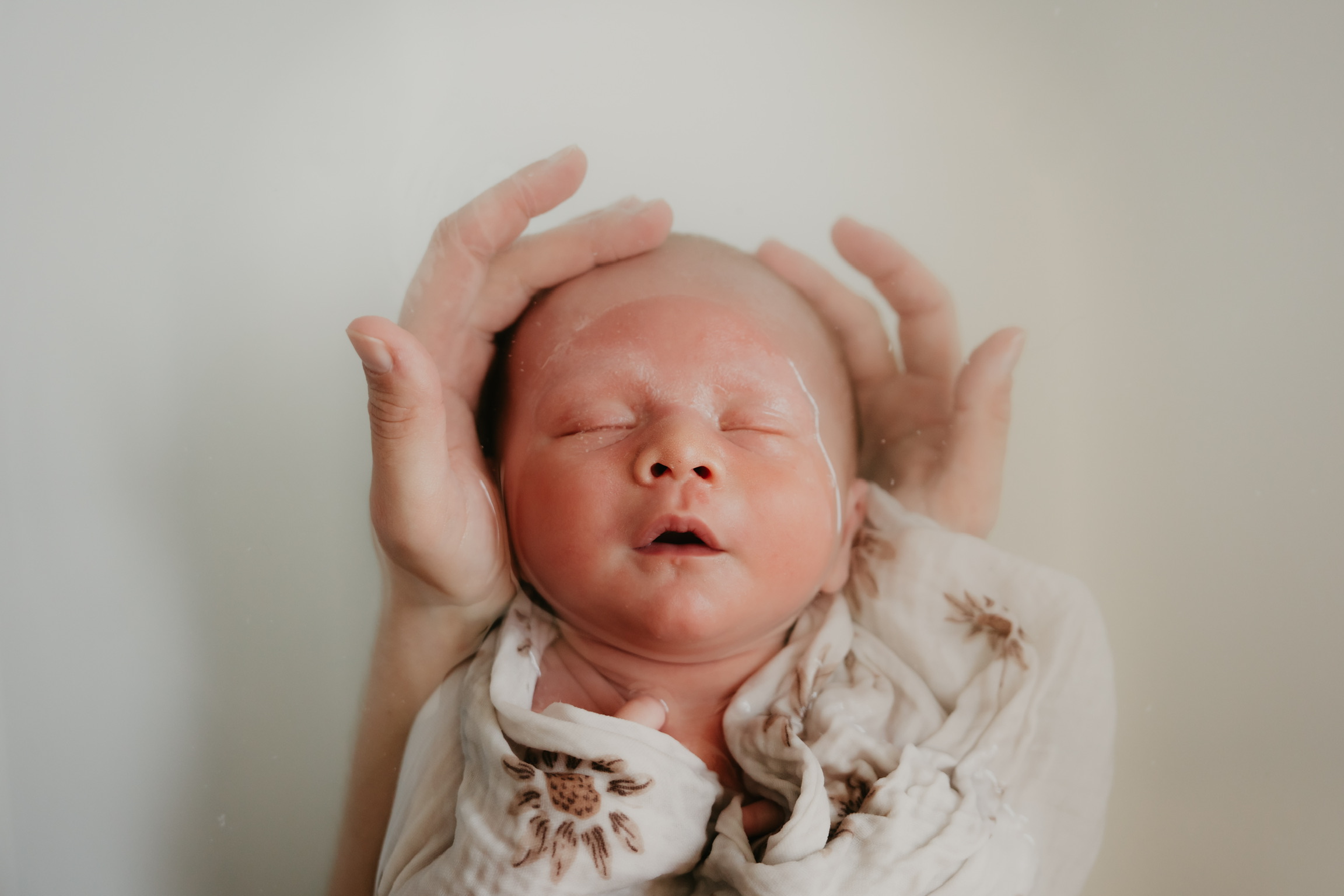 Accueil le bain d'alessio